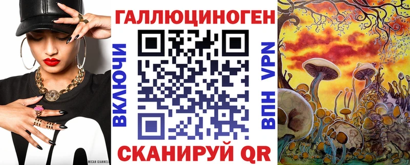 Галлюциногенные грибы Cubensis  Купить закладки  Новопавловск 